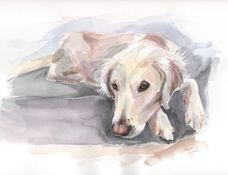 Dogportrait by Marianne Musek - Hundeportrait von Marianne Musek