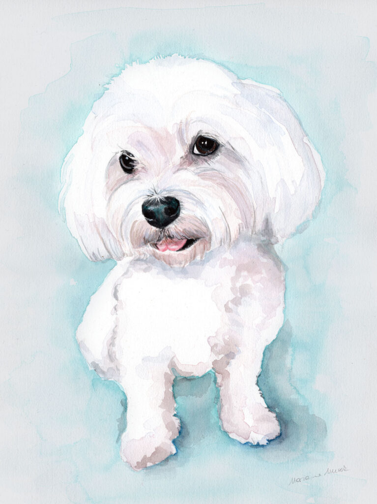 Dogportrait by Marianne Musek - Hundeportrait von Marianne Musek