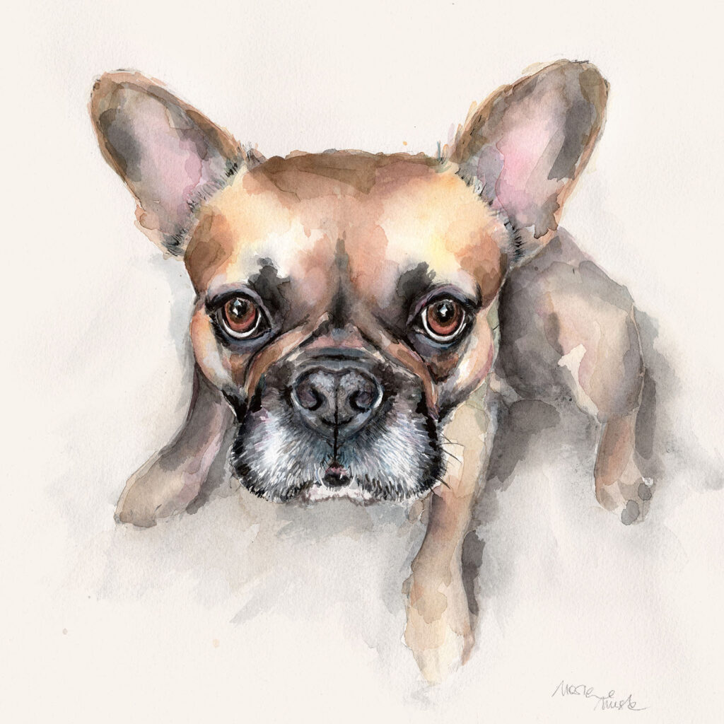 Dogportrait by Marianne Musek - Hundeportrait von Marianne Musek