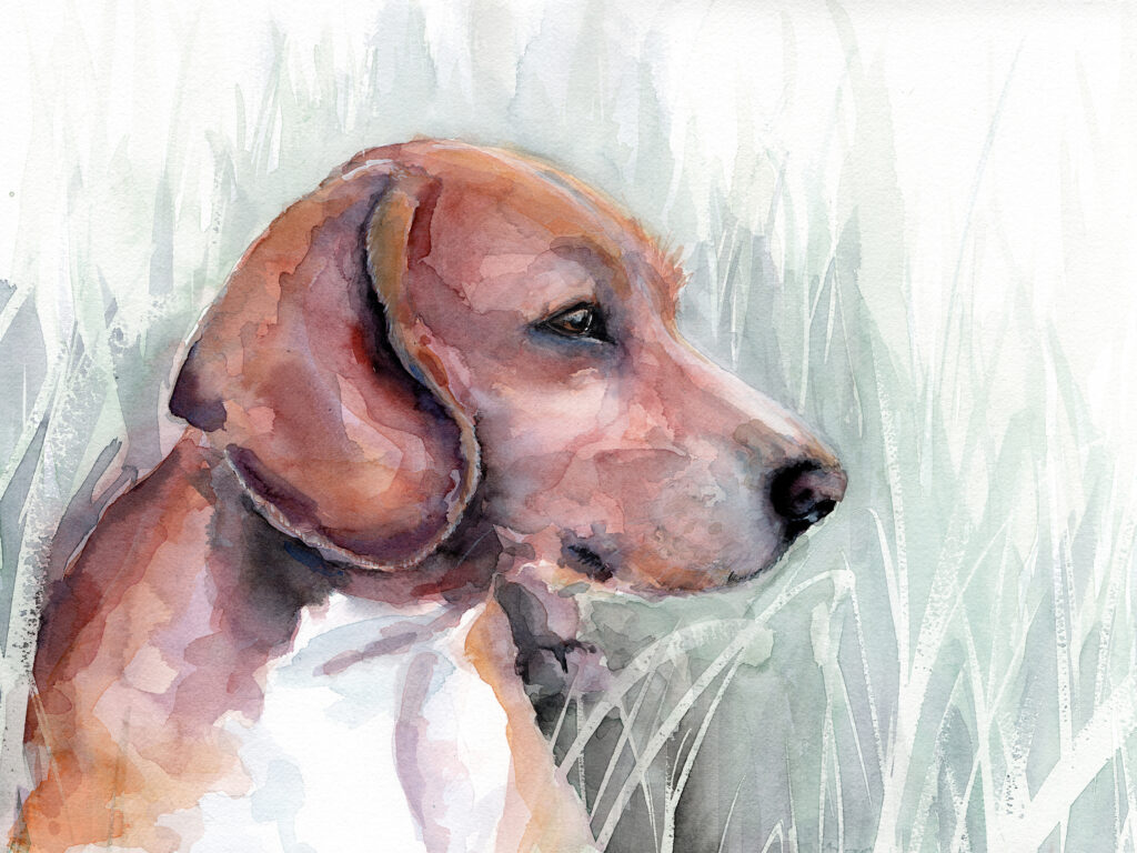 Dogportrait by Marianne Musek - Hundeportrait von Marianne Musek