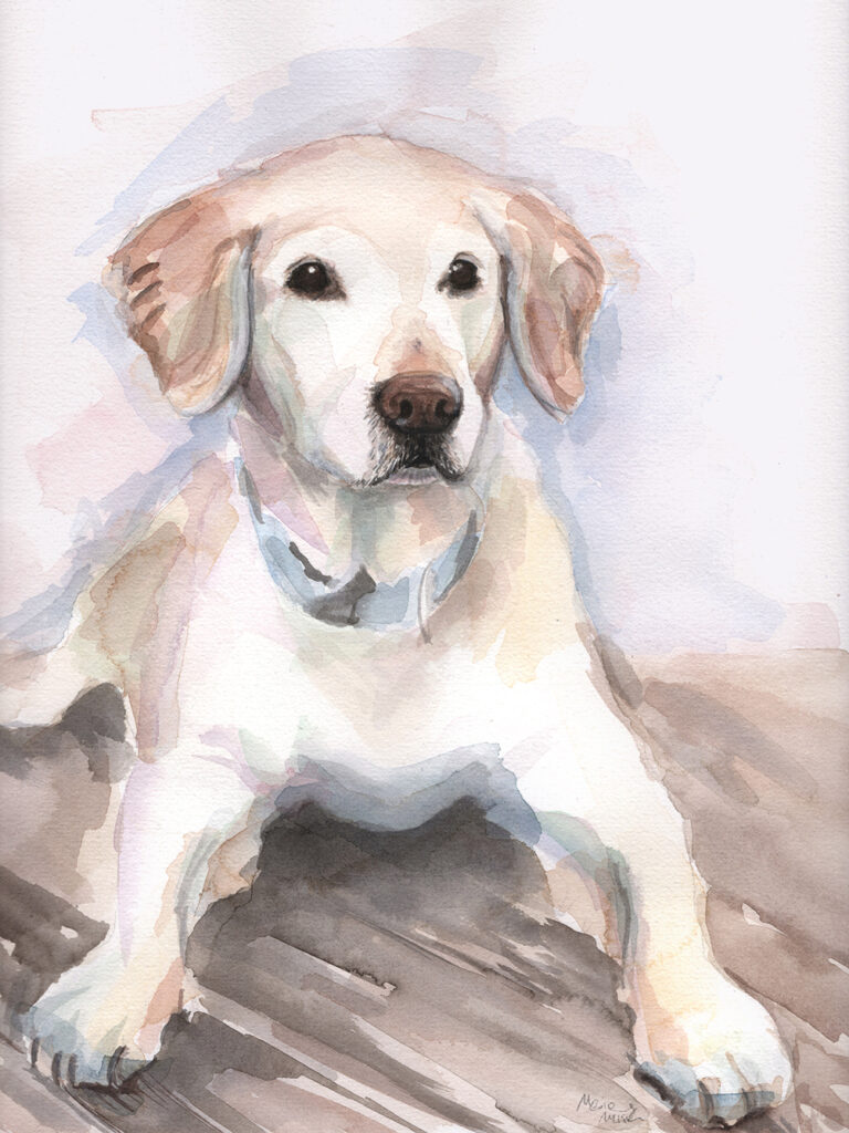 Dogportrait by Marianne Musek - Hundeportrait von Marianne Musek