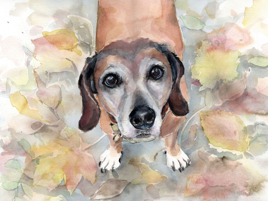 Dogportrait by Marianne Musek - Hundeportrait von Marianne Musek