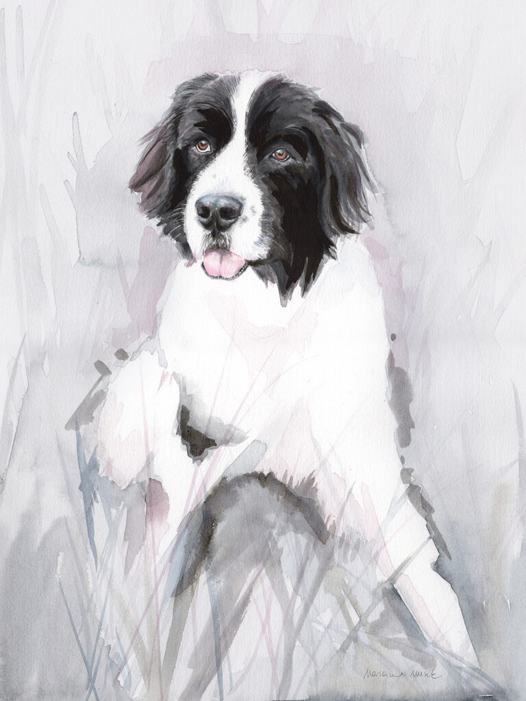 Dogportrait by Marianne Musek - Hundeportrait von Marianne Musek