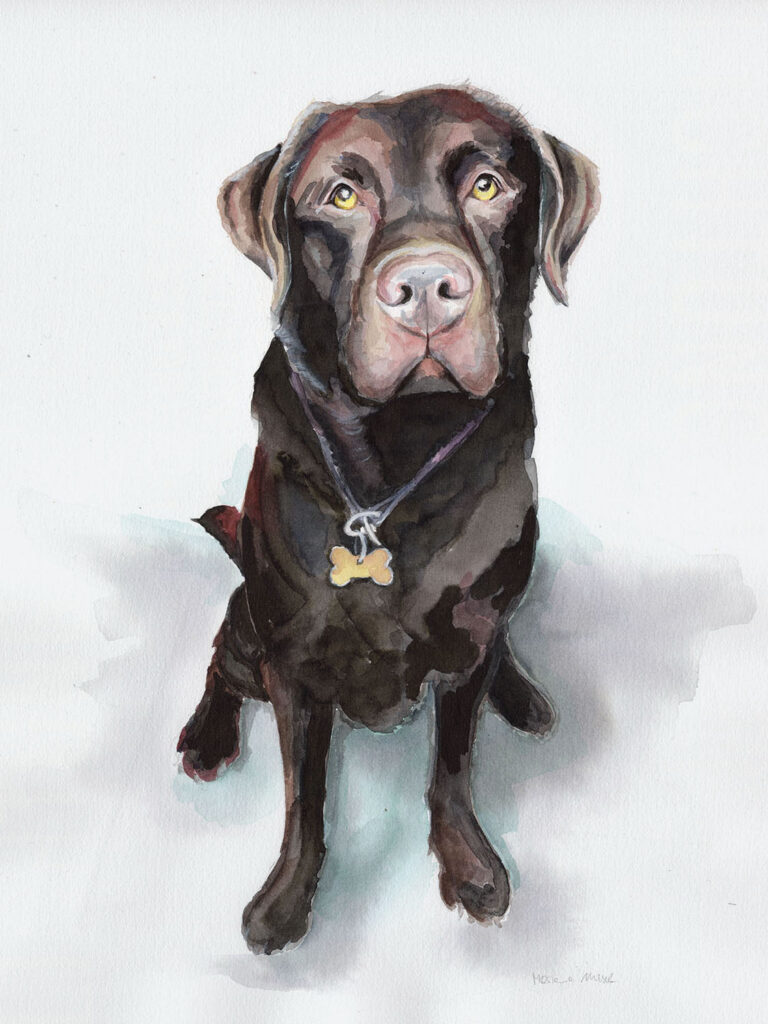 Dogportrait by Marianne Musek - Hundeportrait von Marianne Musek