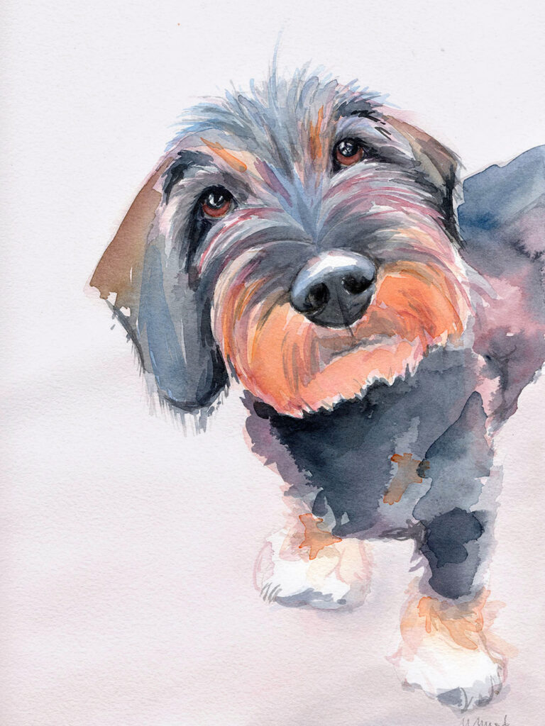 Dogportrait by Marianne Musek - Hundeportrait von Marianne Musek