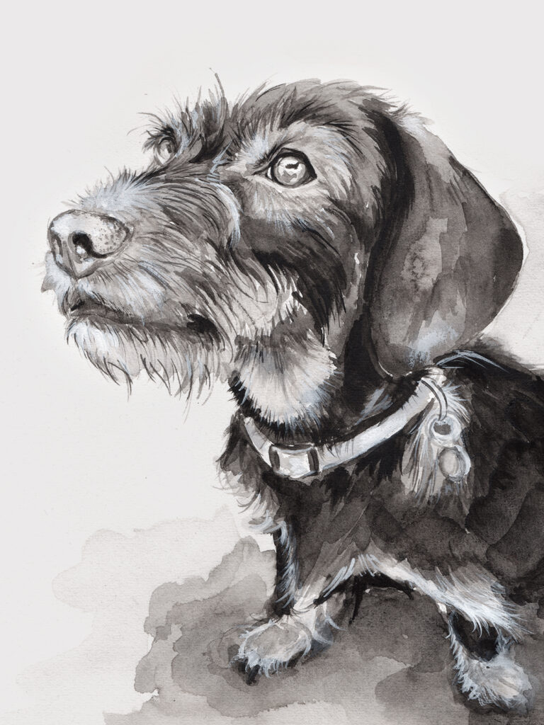 Dogportrait by Marianne Musek - Hundeportrait von Marianne Musek