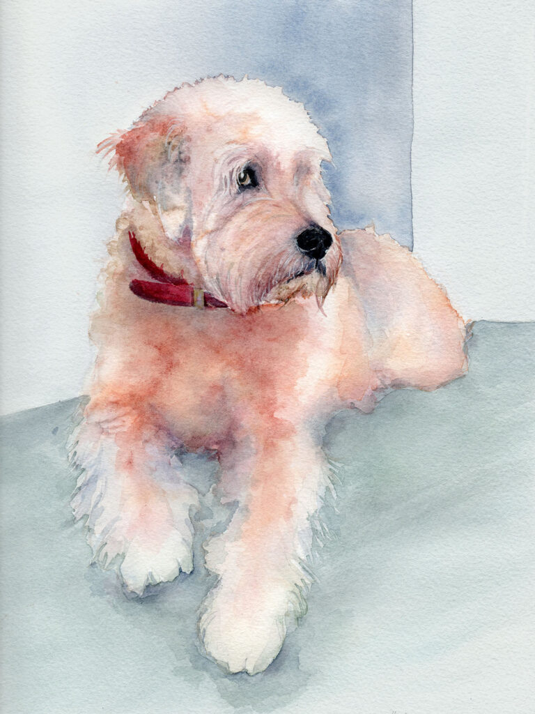 Dogportrait by Marianne Musek - Hundeportrait von Marianne Musek