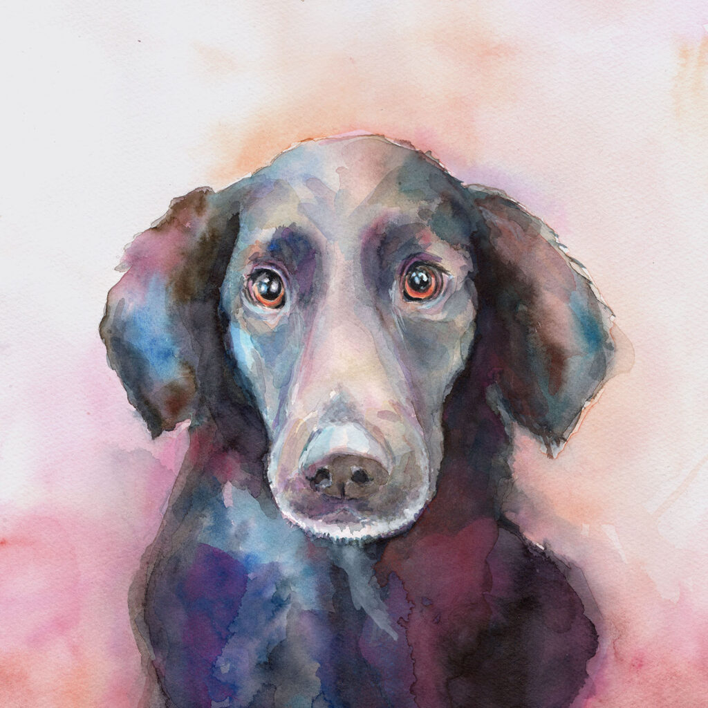 Dogportrait by Marianne Musek - Hundeportrait von Marianne Musek