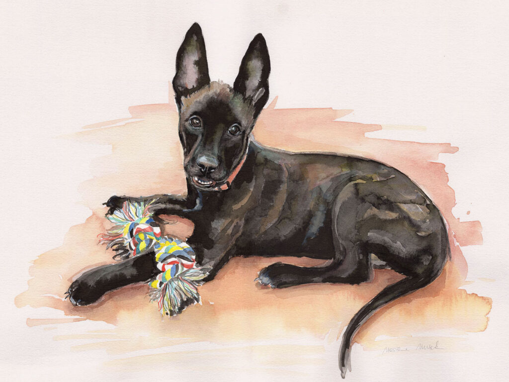 Dogportrait by Marianne Musek - Hundeportrait von Marianne Musek