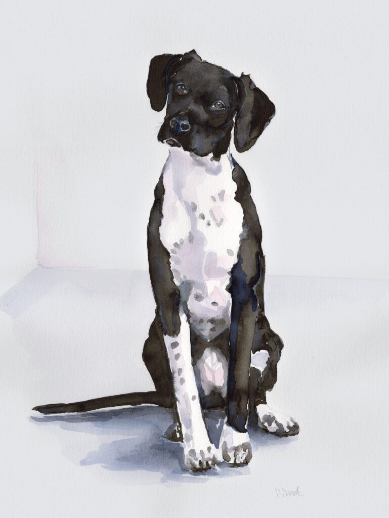 Dogportrait by Marianne Musek - Hundeportrait von Marianne Musek