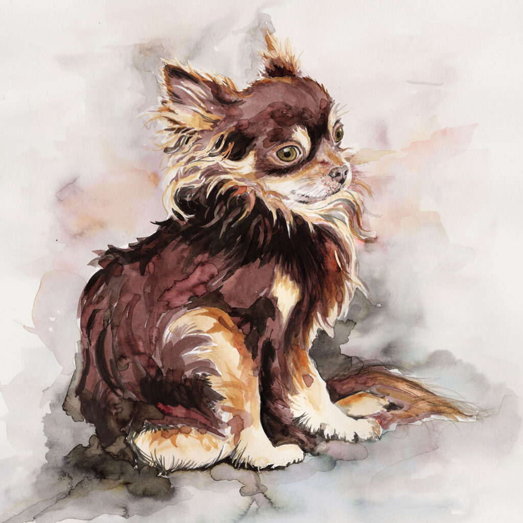 Dogportrait by Marianne Musek - Hundeportrait von Marianne Musek