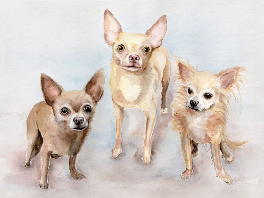 Dogportrait by Marianne Musek - Hundeportrait von Marianne Musek