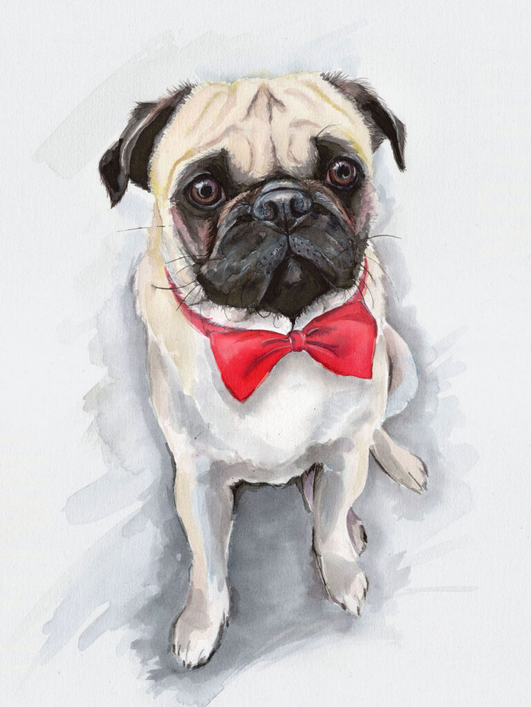 Dogportrait by Marianne Musek - Hundeportrait von Marianne Musek