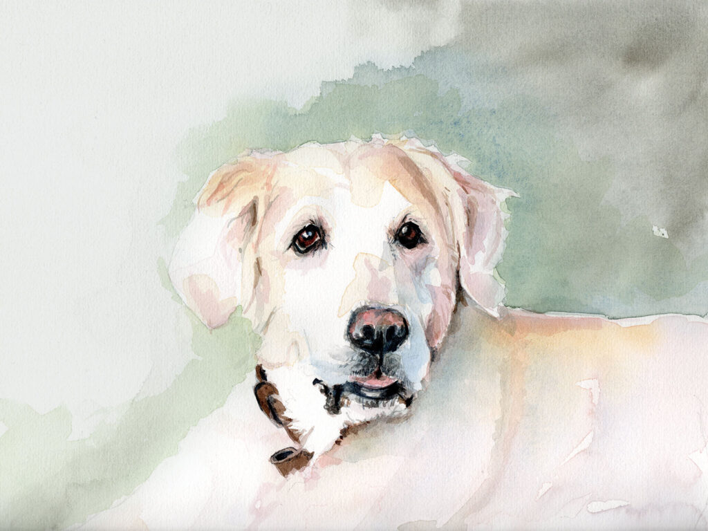 Dogportrait by Marianne Musek - Hundeportrait von Marianne Musek